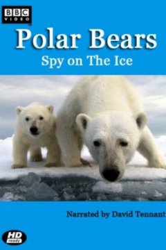 Постер: Белый медведь: Шпион во льдах